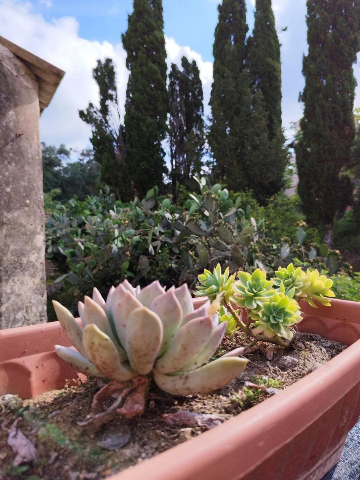 Traditional House With Loft -michalis' House In Kouramades- Kouramades
